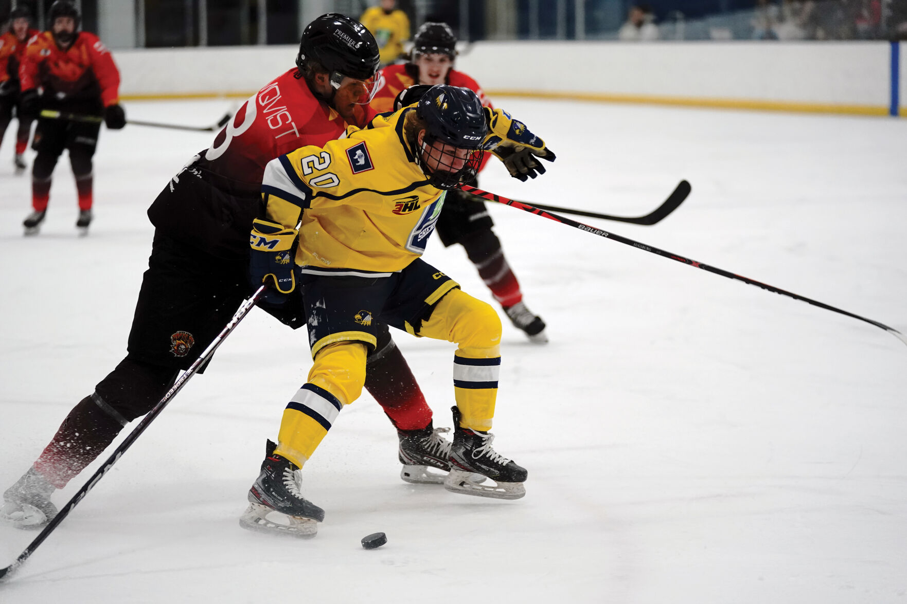 Hawks v Gillette 006.jpg